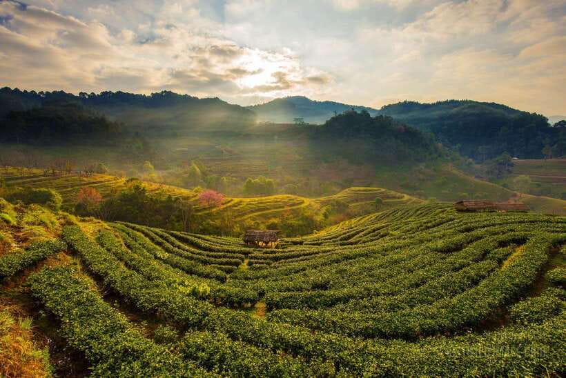 Jakarta: Volcano, Suspension Bridge, and Hot Spring Tour - A warm soak after the outdoor stops