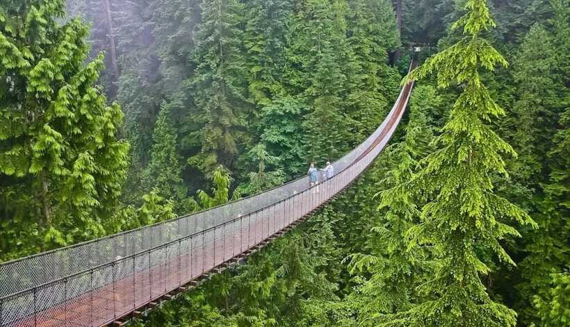 Jakarta: Volcano, Suspension Bridge, and Hot Spring Tour - Tea fields and a closer look at production