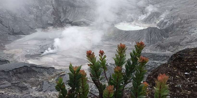 Jakarta: Volcano, Tea/Rice Fields, Hot Spring, Local Food - Tropical fruit near Subang