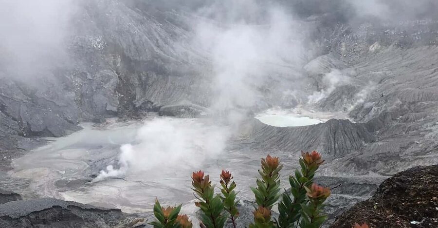 Jakarta: Volcano, Tea/Rice Fields, Hot Spring, Local Food - Tea fields around Ciater