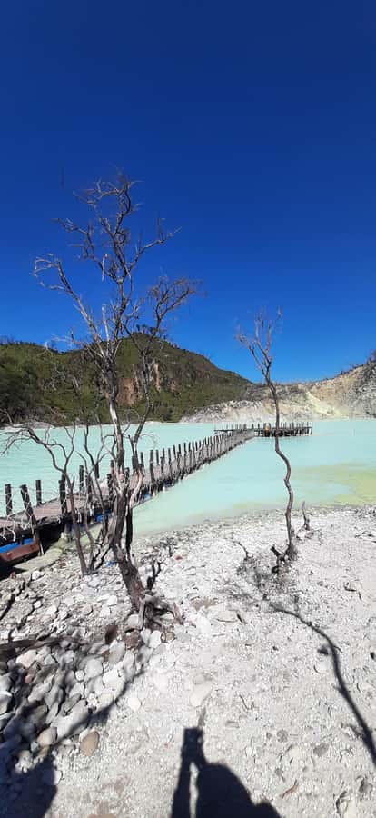 Jakarta: Waterfalls, Volcano, White Crater, Tea, Hot Spring - Tangkuban Perahu and Java’s volcanic side