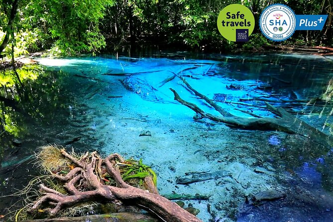 Jungle Tour to Emerald Pool, Krabi Hot Spring and Tiger Cave Temple - Three Krabi sights, one demanding day
