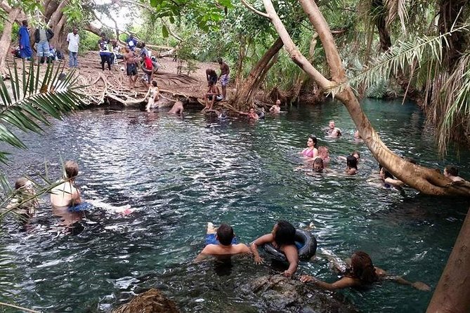 Kikuletwa (Chemka) Hot Springs Day Tour - Swimming, snorkeling, and the fish pedicure