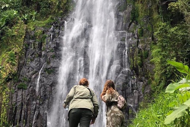 Kilimanjaro Waterfalls Hike & Moshi Hot Springs Day Trip Tour - Key points to know before booking