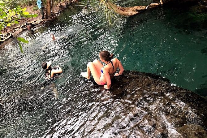 Kilimanjaro Waterfalls Hike & Moshi Hot Springs Day Trip Tour - Who should choose this day trip