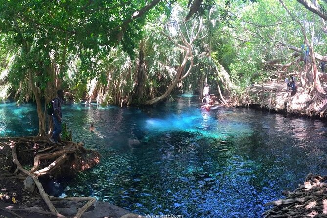 Kilimanjaro Waterfalls Hike & Moshi Hot Springs Day Trip Tour - Village life, coffee, and a picnic with a view