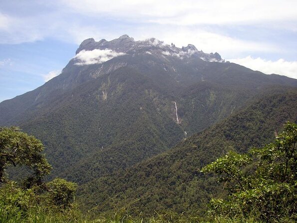 Kinabalu Park & Poring Hot Spring Tour - Desa Cattle Farm at about 9:30 a.m.