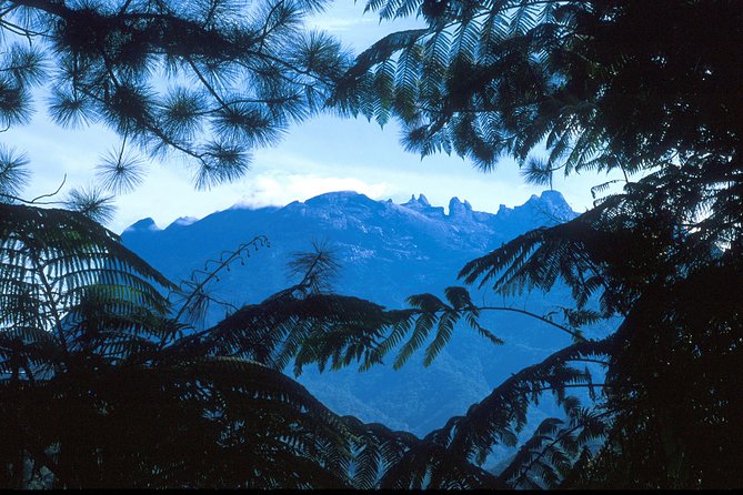 Kinabalu Park & Poring Hot Spring Tour - Kinabalu Park at 4 p.m.