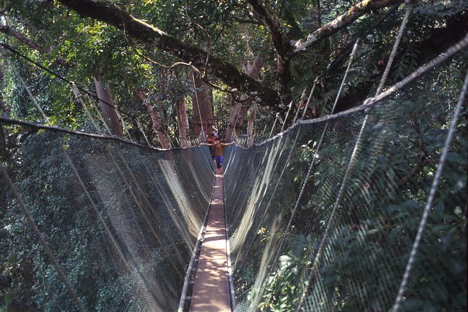Kinabalu Park & Poring Hot Spring Tour - Guides, transport, and the human side of the day