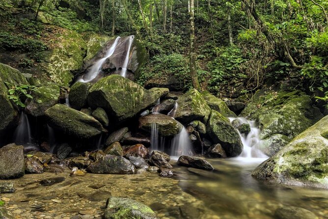 Kinabalu Park & Poring Hot Springs Tour with Desa Dairy Farm - From Kota Kinabalu to the Nabalu fruit market