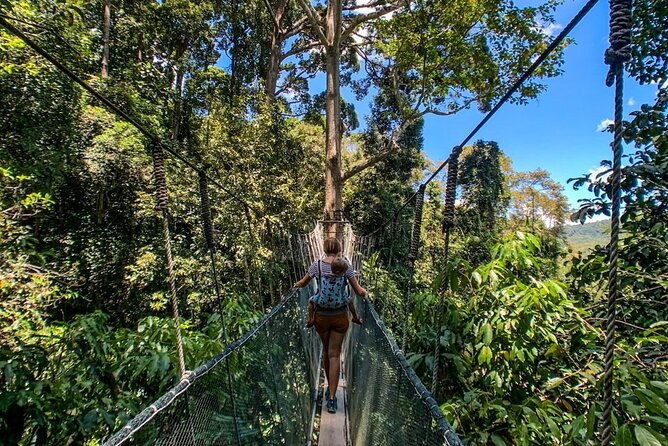 Kinabalu Park & Poring Hot Springs Tour with Desa Dairy Farm - A short soak at Poring Hot Springs