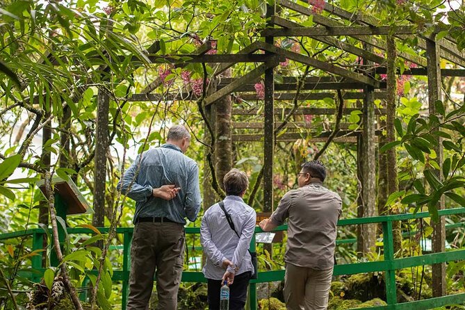 Kinabalu Park & Poring Hot Springs Tour with Desa Dairy Farm - The 20-minute hike to Poring’s canopy walkway
