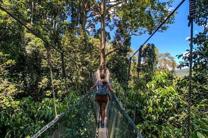 Kinabalu Park Tour with Desa Dairy Farm & Poring Hot Springs - Desa Dairy Farm and the view toward Mount Kinabalu