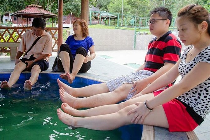 Kinabalu Park Tour with Desa Dairy Farm & Poring Hot Springs - Kinabalu Park and its Exhibition Hall