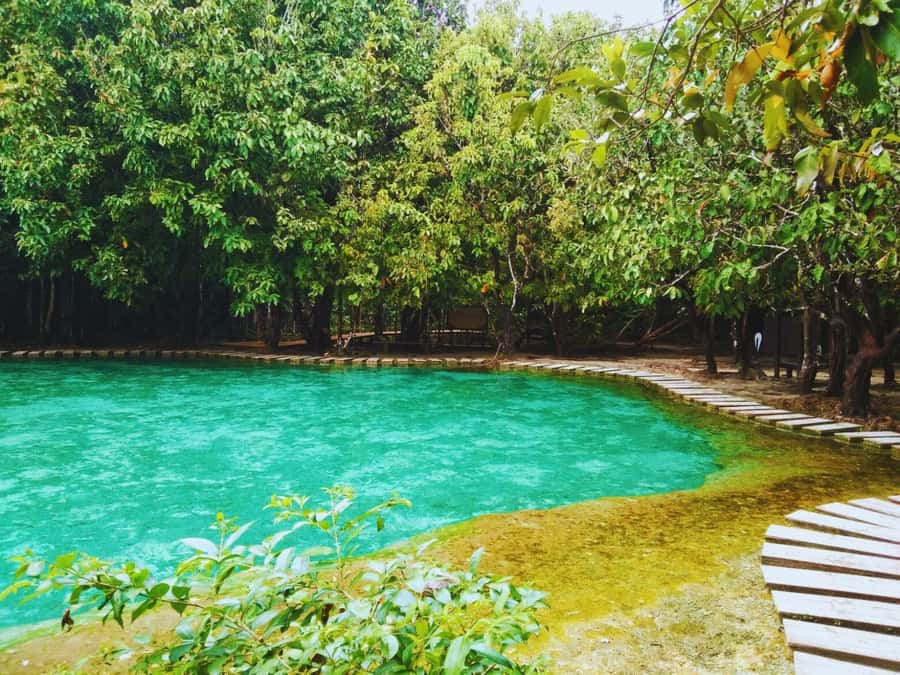 Ko Lanta: Full Day Emerald Pool&Hot Spring With Tiger Temple - Key points to know before booking
