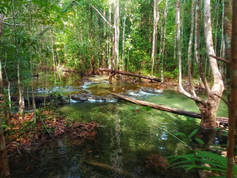 Ko Lanta: Full Day Emerald Pool&Hot Spring With Tiger Temple - Soaking at Krabi’s hot spring waterfall