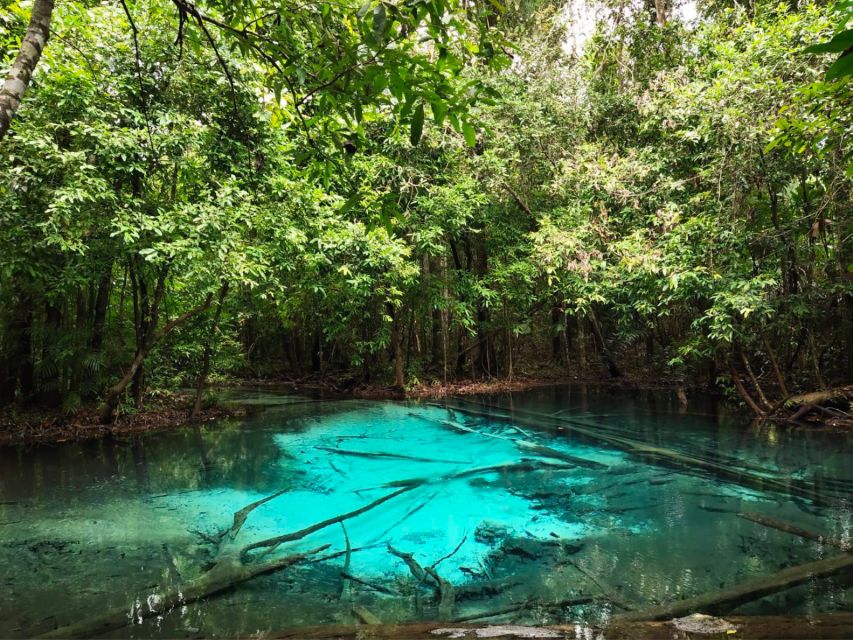 Ko Lanta: Full Day Emerald Pool&Hot Spring With Tiger Temple - Climbing 1,260 steps at Tiger Cave Temple