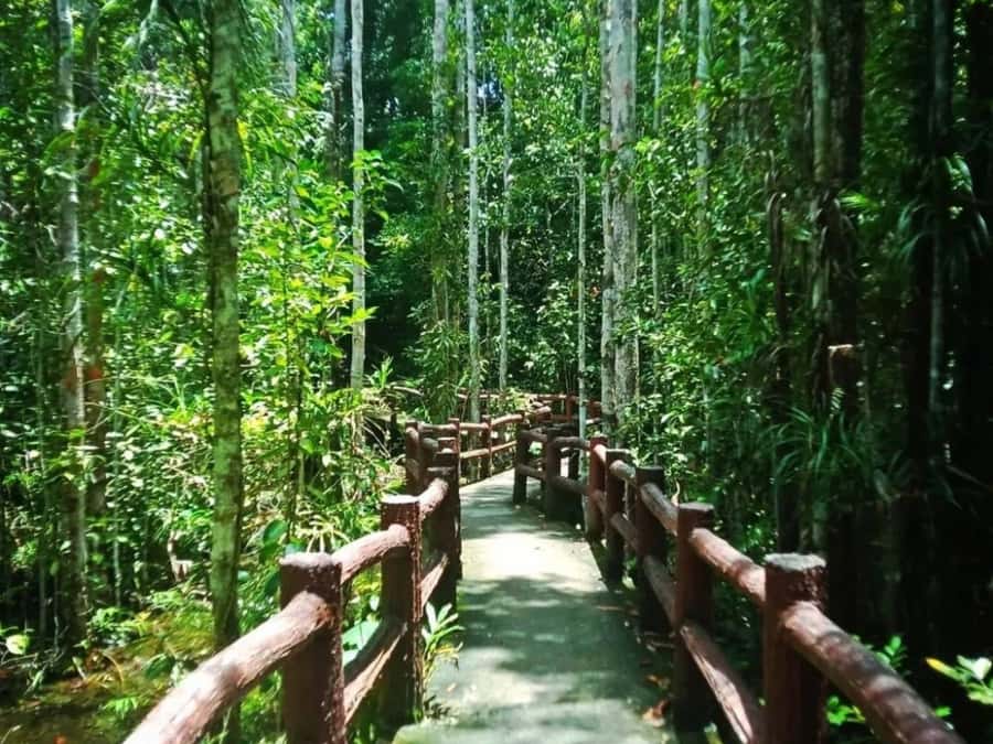 Ko Lanta: Full Day Emerald Pool&Hot Spring With Tiger Temple - Who will enjoy this day most