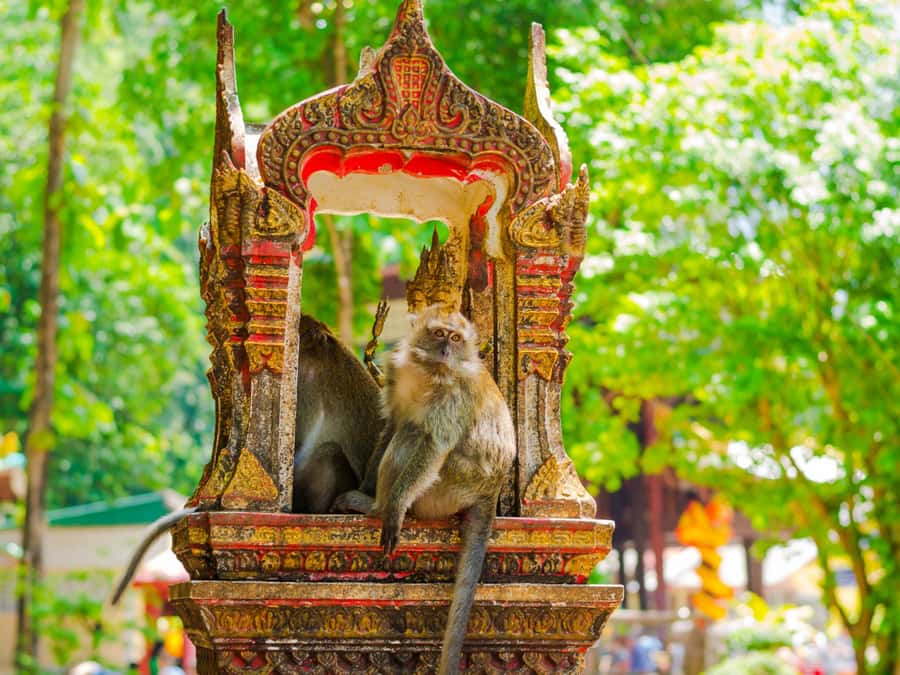 Ko Lanta: Private Tiger Cave, Hot Spring & Emerald Pool Tour - The 1,237 steps at Tiger Cave Temple