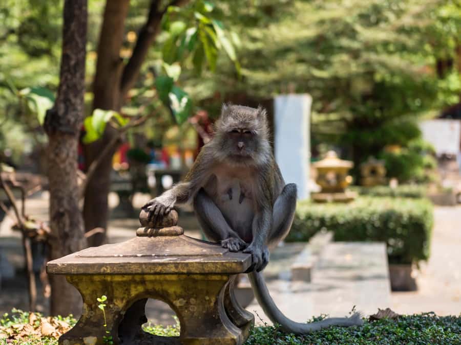 Ko Lanta: Private Tiger Cave, Hot Spring & Emerald Pool Tour - Who will enjoy this private Krabi outing