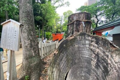 Kobe Guided Tour Including Port Area and Arima Onsen Town