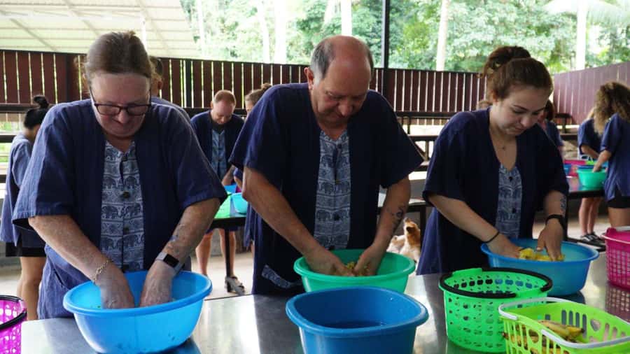 Koh Samui: Half-Day Ethical Elephant Sanctuary with Mud Spa - Key points to know before you book