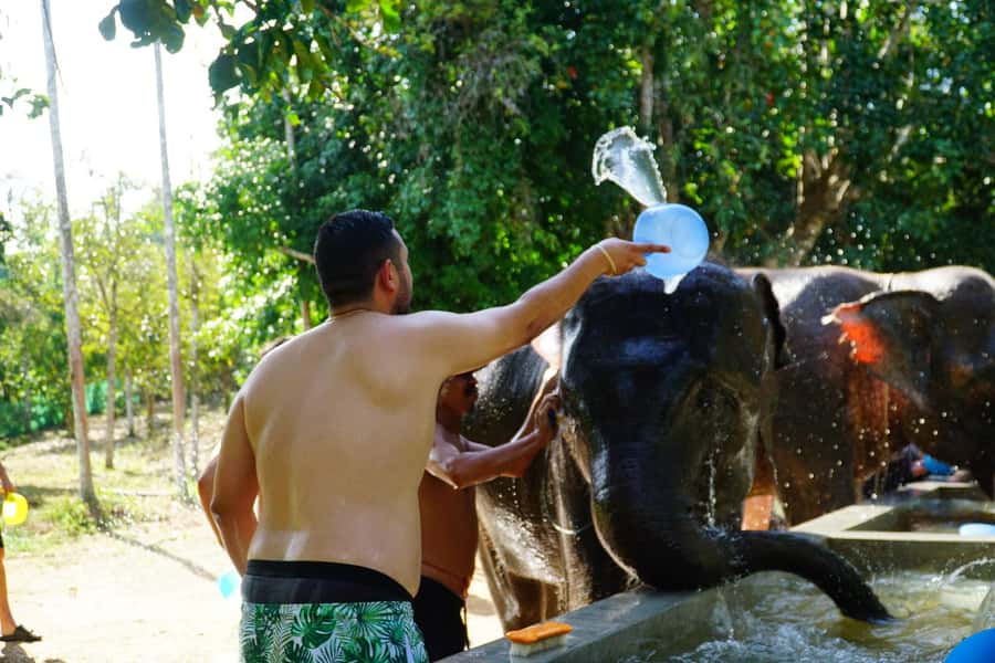 Koh Samui: Half-Day Ethical Elephant Sanctuary with Mud Spa - A short Thai cooking lesson and a satisfying meal