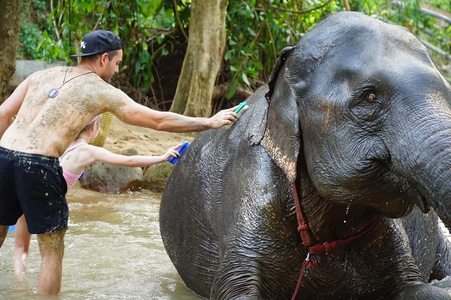 Koh Samui: Half-Day Ethical Elephant Sanctuary with Mud Spa - Guides, mahouts, and the human side of the visit