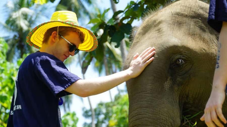 Koh Samui: Half-Day Ethical Elephant Sanctuary with Mud Spa - Arriving at Samui Elephant Spa