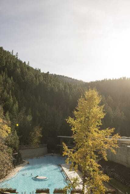 Kootenay: From Icy Mountain Rivers to Steamy Hot Springs - Sinclair Canyon and the Douglas-fir trail