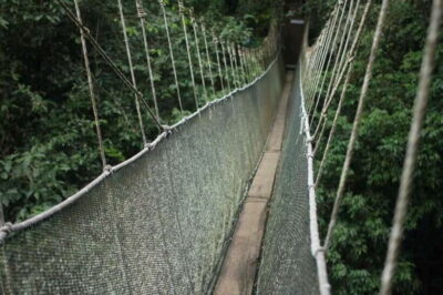 Kota Kinabalu: Private Kundasang and Poring Hot Spring Tour