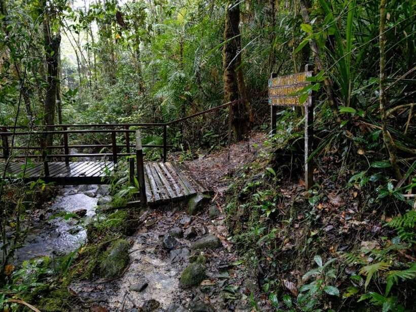 Kota Kinabalu: Private Kundasang and Poring Hot Spring Tour - Silau-Silau trails and the walk in the forest