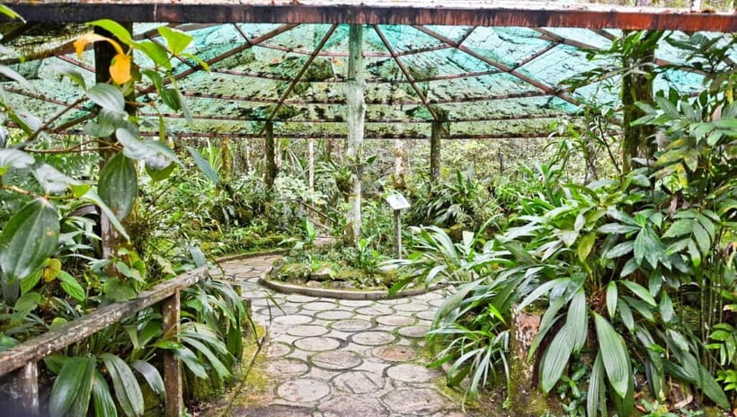 Kota Kinabalu: Private Kundasang and Poring Hot Spring Tour - The driving time is the main trade-off
