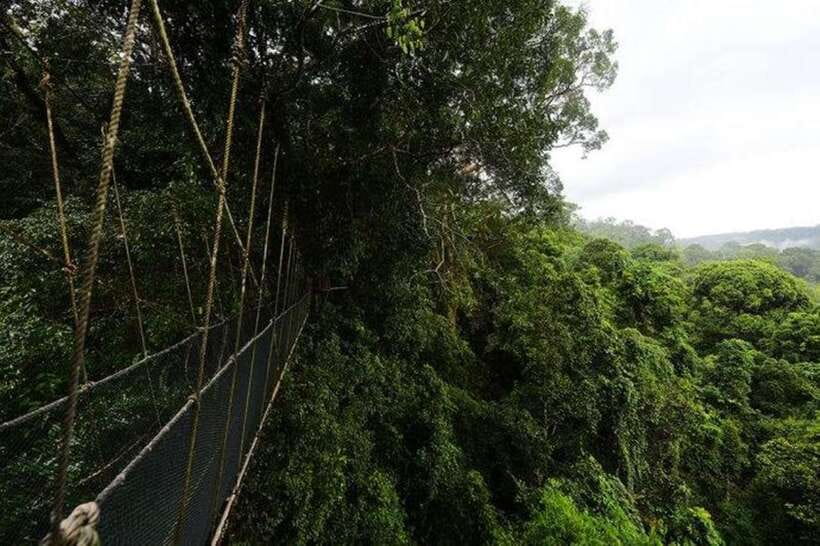 Kota Kinabalu: Private Kundasang and Poring Hot Spring Tour - Who will enjoy this tour most