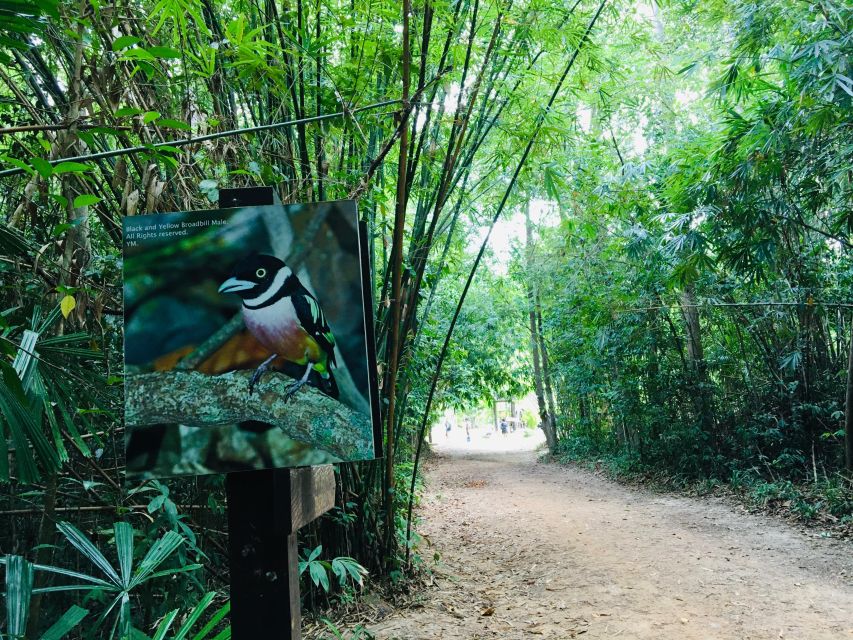 Krabi: Emerald Pool and Hot Spring Waterfall with ATV Riding - ATV riding through jungle trails