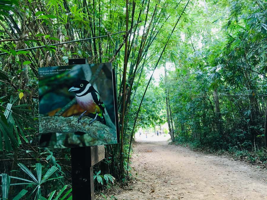 Krabi: Emerald Pool and Hot Spring Waterfall with ATV Riding - Pickup, driving time, and the real length of the day