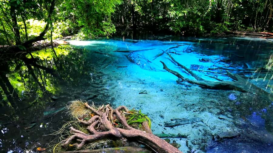 Krabi: Emerald Pool and Hot Spring Waterfall with ATV Riding - The Hot Spring Waterfall: warm water and basic facilities
