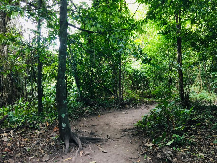 Krabi: Emerald Pool and Hot Springs Waterfall Half-Day Trip - Leaving Krabi by hotel van