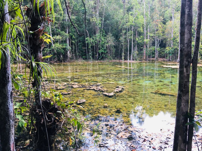 Krabi: Emerald Pool and Hot Springs Waterfall Half-Day Trip - FAQ