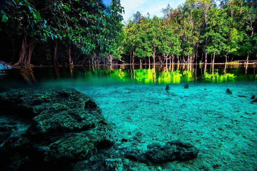 Krabi: Emerald Pool & Hot Spring Waterfall with Kayaking - A full day built around three very different Krabi sights