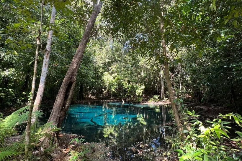 Krabi: Emerald Pool, Hot Springs, and Kayaking Tour - What to pack for the water and forest