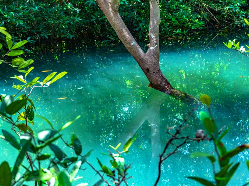 Krabi: Kayaking, Crystal Lagoon, and Fish Spa in Klong Root - What to bring for a smoother outing