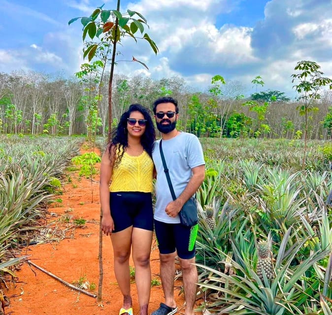 Krabi: Kayaking, Crystal Lagoon, and Fish Spa in Klong Root - The pineapple farm is the weakest stop