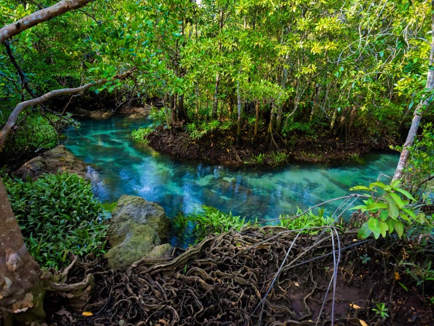Krabi: Kayaking, Crystal Lagoon, and Fish Spa in Klong Root - Is the $38 price fair?