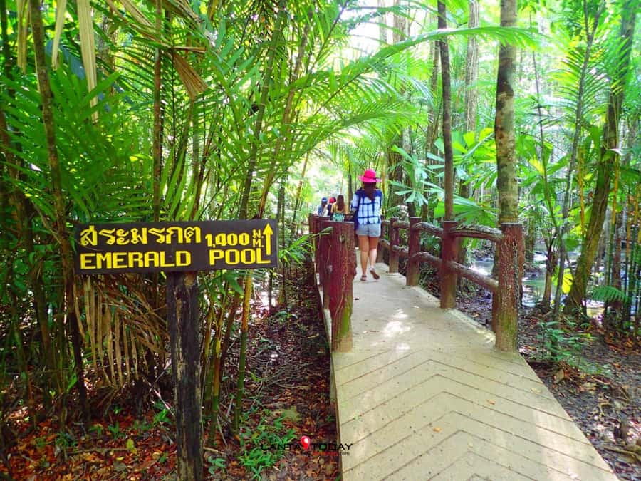 Krabi: Klongtom Hot Spring, Emerald Pool and Tiger Cave Tour - Klongtom Hot Springs: a warm start in the jungle