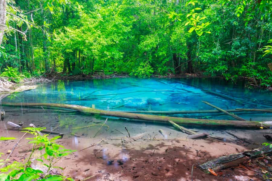 Krabi: Klongtom Hot Spring, Emerald Pool and Tiger Cave Tour - The road time and private van setup