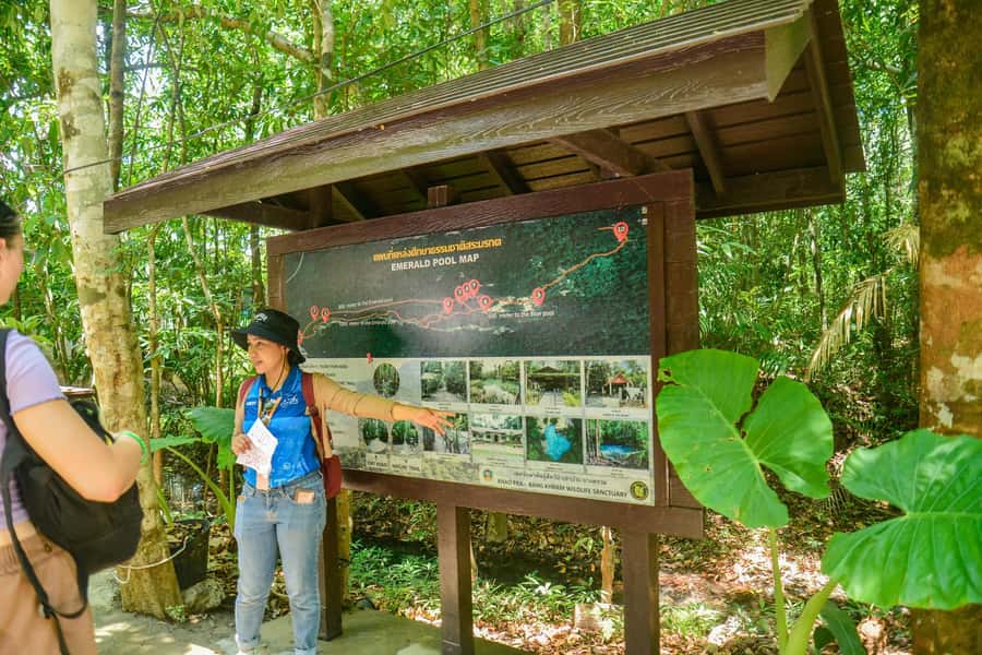 Krabi Private Escape: Emerald Pool, Hot Springs & Tiger Cave - What private transport changes