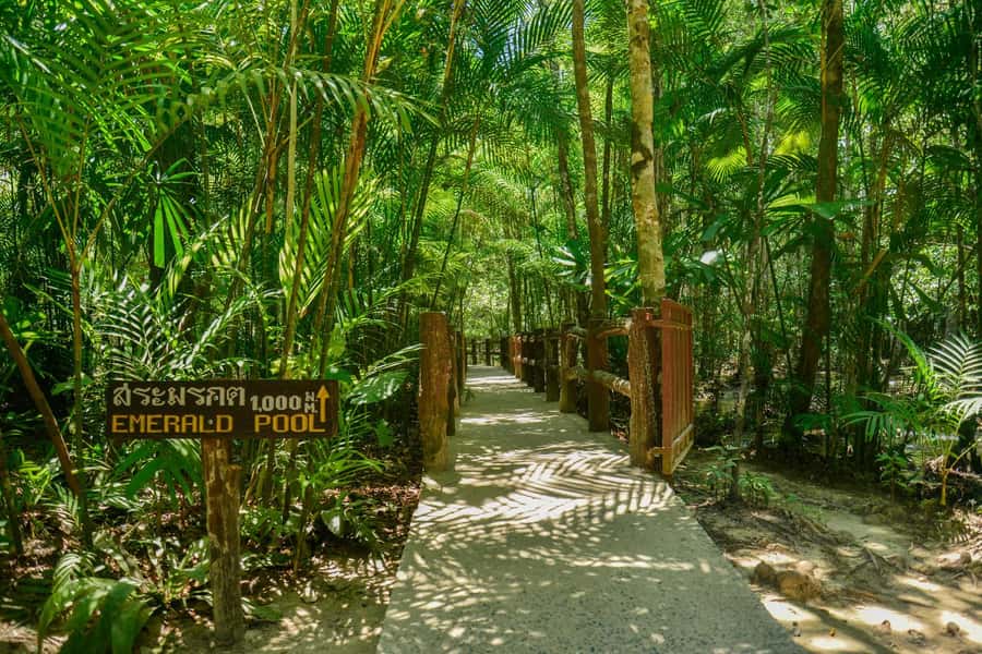 Krabi Private Escape: Emerald Pool, Hot Springs & Tiger Cave - The real cost and what to pack
