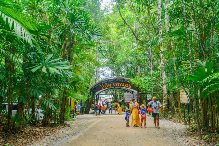 Krabi Private Escape: Emerald Pool, Hot Springs & Tiger Cave - Who should book this Krabi day