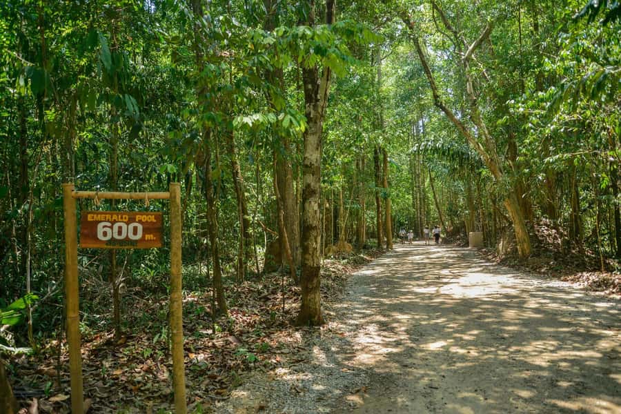 Krabi Private Escape: Emerald Pool, Hot Springs & Tiger Cave - Should you book it?